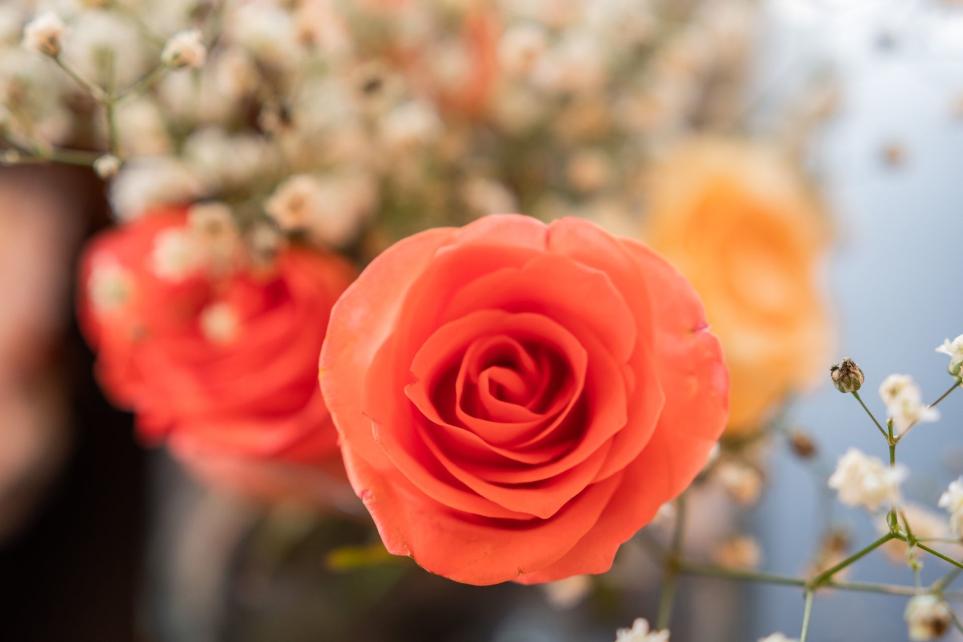 Foto Casar ao meio dia é ruim? Veja como pode ser lindo! Foto Casar ao meio dia é ruim? Veja como pode ser lindo! - Imagem 19